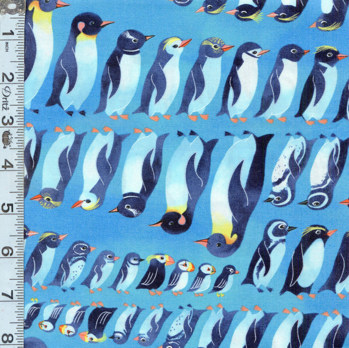 Polar Seas - Penguins and Puffins Aqua