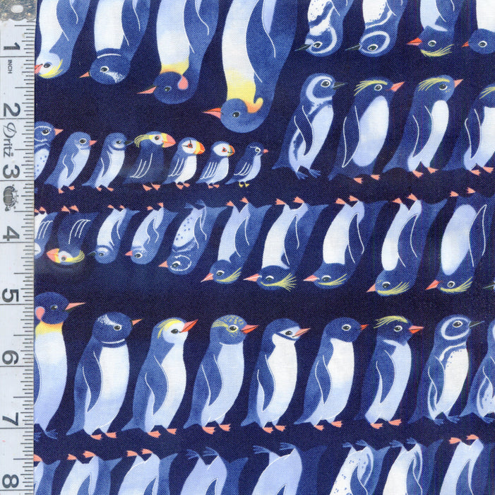 Polar Seas - Penguins and Puffins Black
