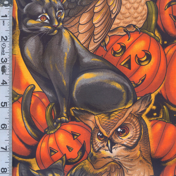 Costumes & Cobwebs - Pumpkin Party Orange