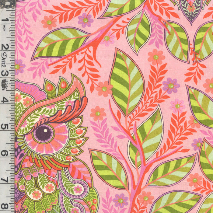 Full Moon Forest II - Hootie Patootie Honey