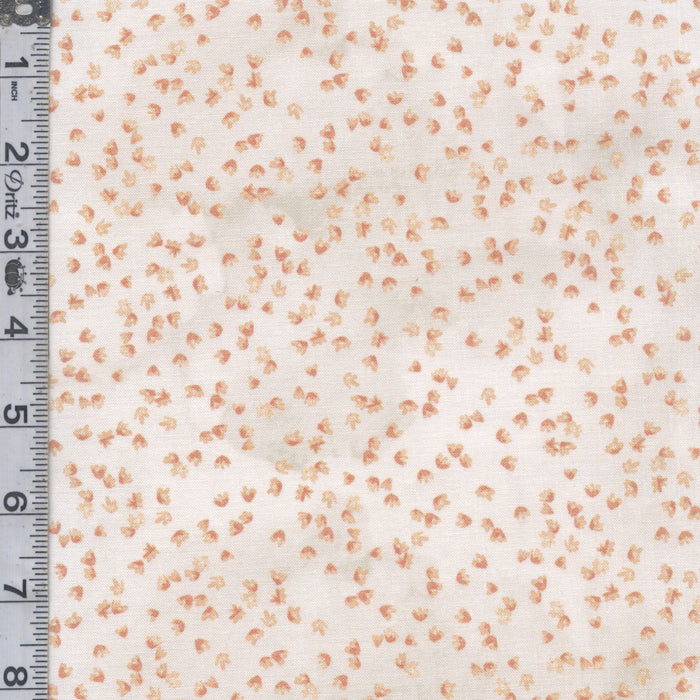 Soft Spoken - Tiny Petals Pumpkin