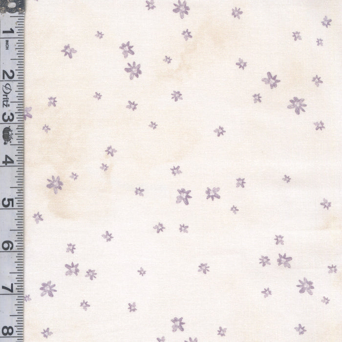 Soft Spoken - Asterisk Flower Heather