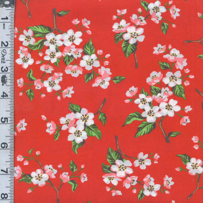 Wishwell: Apple Blossom - Blossoms Cherry