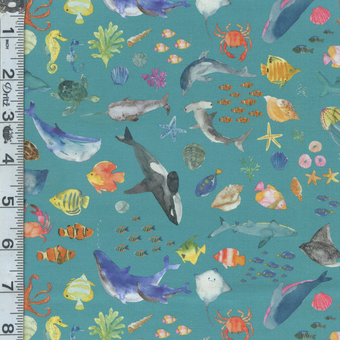 Under the Sea - Sea Creatures Ocean