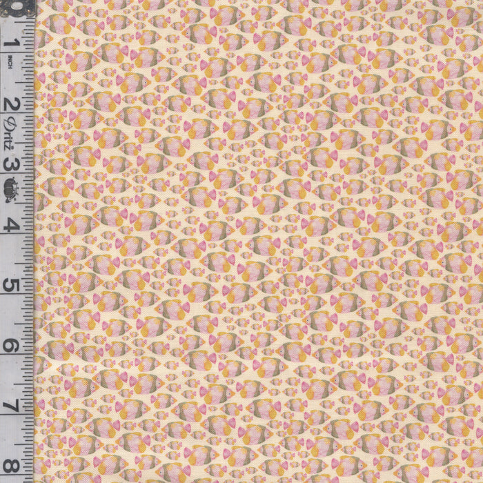 Under the Sea - Shoal of Fishes Coral