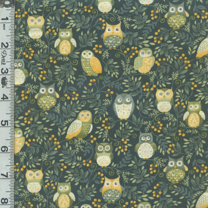 Hello Autumn - Twilight Owls Green