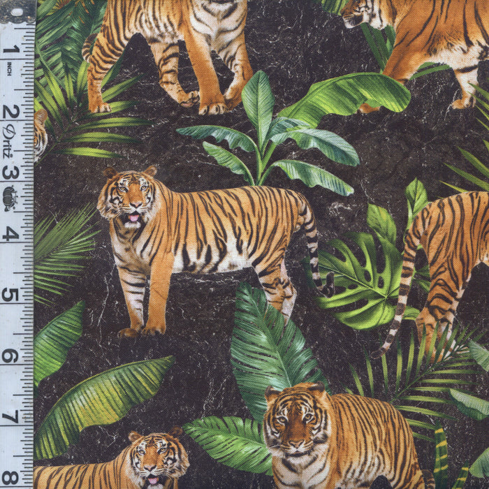 Jungle Queen - Tigers Black
