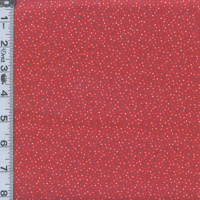 Country Confetti - Speckled Hen Red