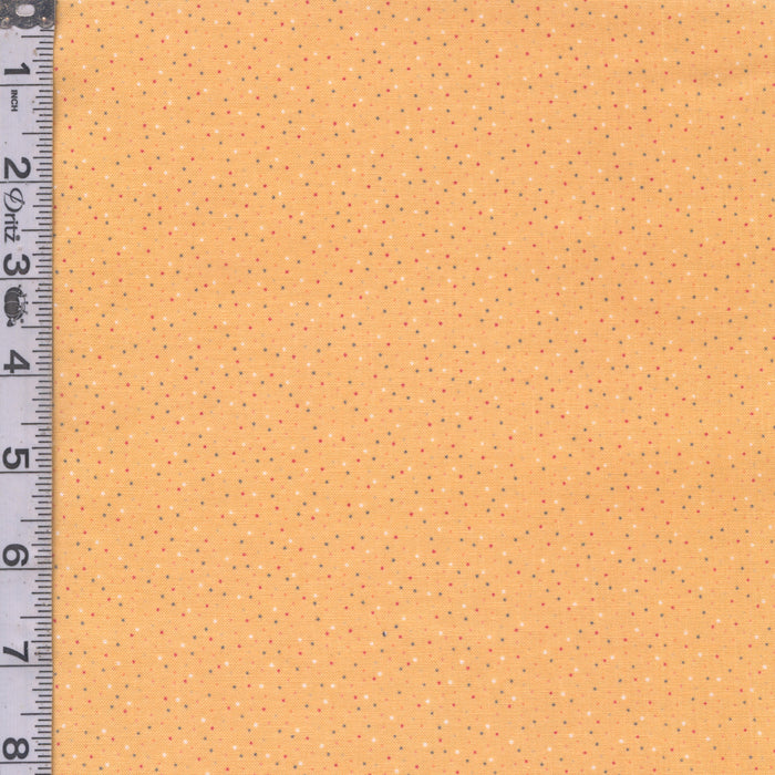 Country Confetti - Waffle Cone Yellow