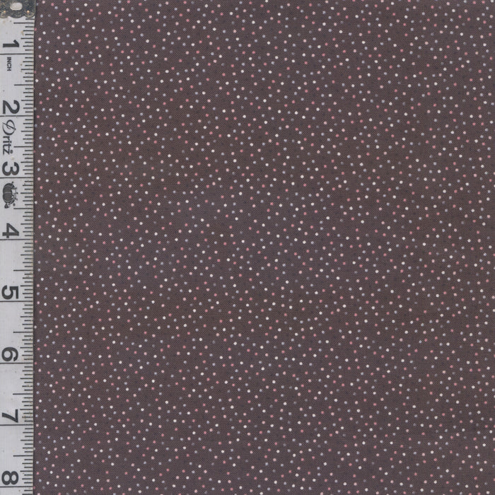 Country Confetti - Weathered Wood Gray