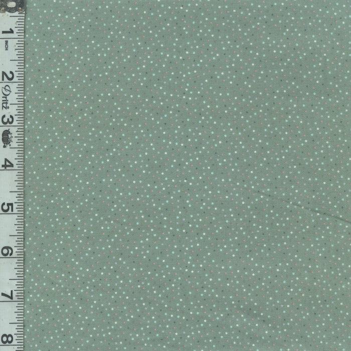 Country Confetti - Lakehouse Teal