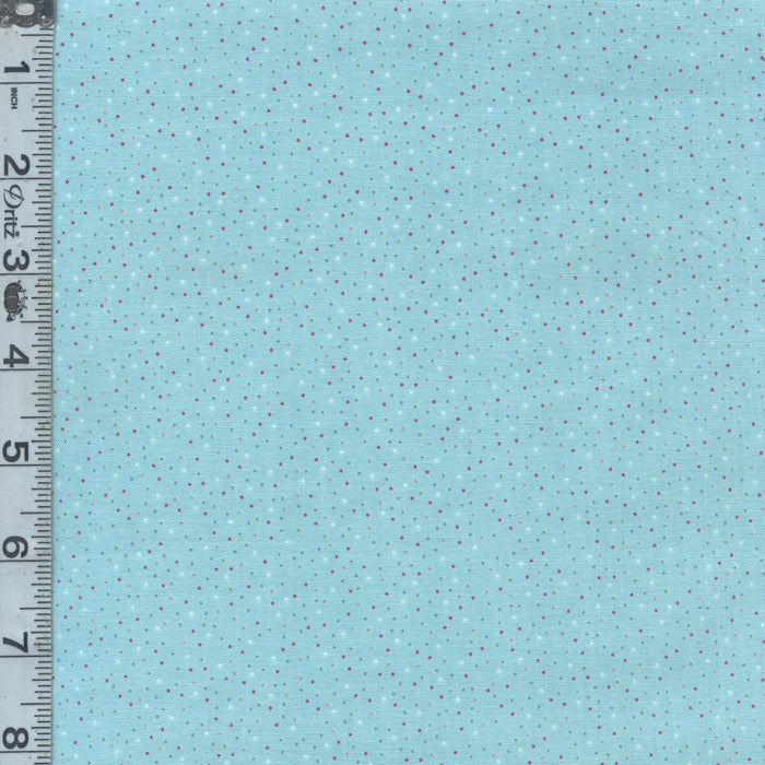 Country Confetti - Blue Lagoon Light Teal