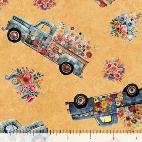 Heartland - Truck Toss Apricot