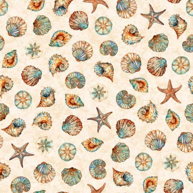 Atlantis - Shell Toss Cream
