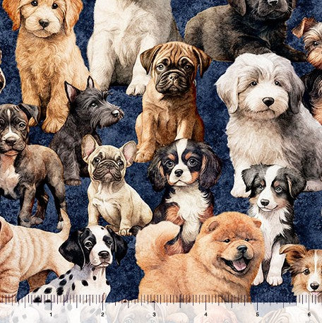 QT Cuties 2 - Pack of Puppies Denim
