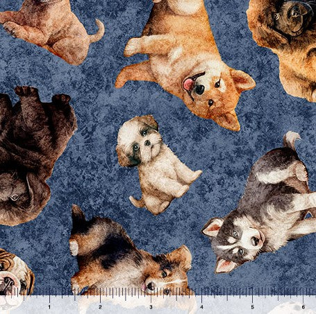 QT Cuties 2 - Puppy Toss Denim