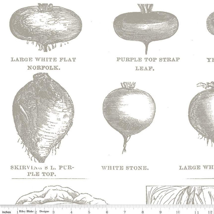 Pumpkin Patch - Vintage Veggies Gray