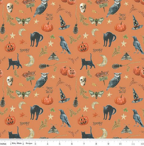 Trick Or Treat - Spooky Orange