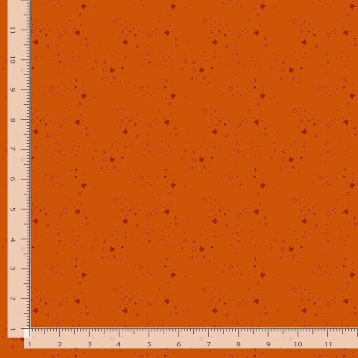 Kitty Litter - Orange