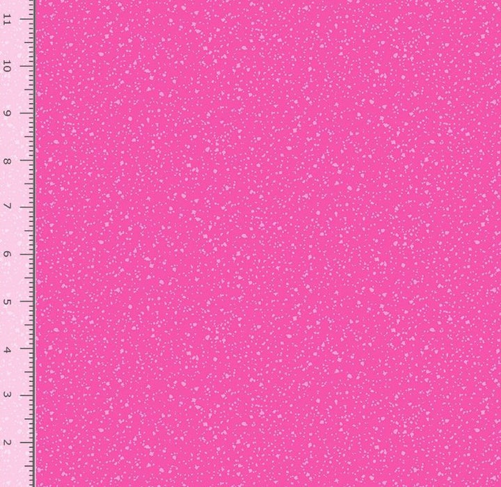 Stardust - Raspberry