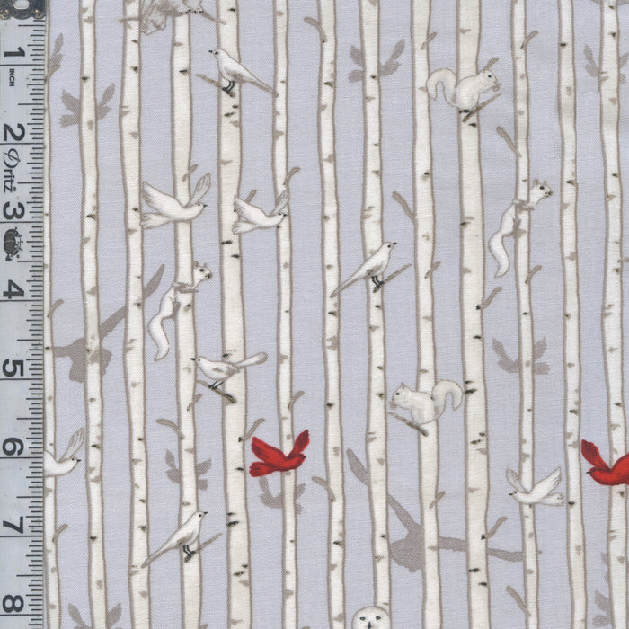 Winter White - Birch Stripe