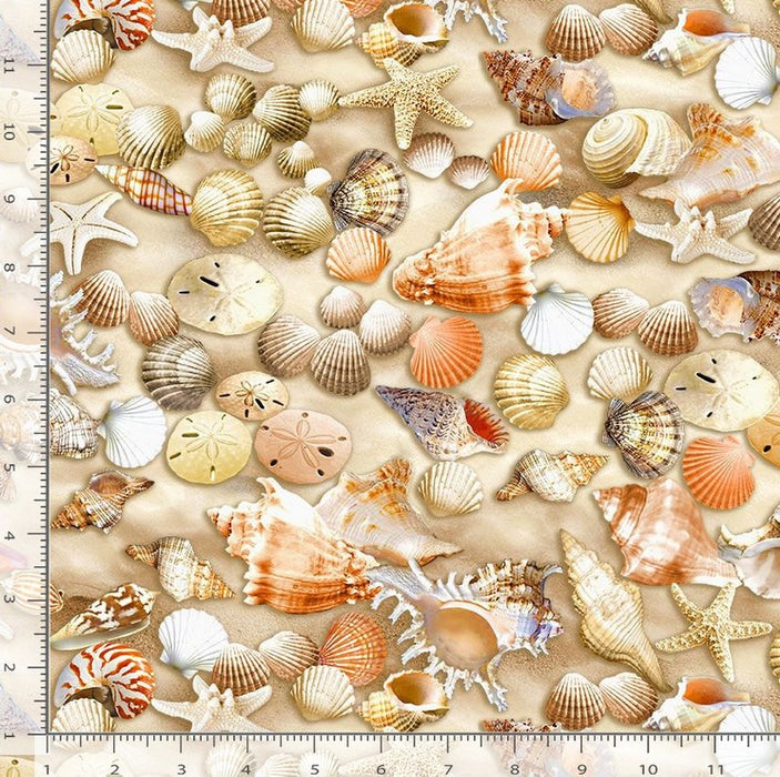 Water's Edge - Beachcombers Sand