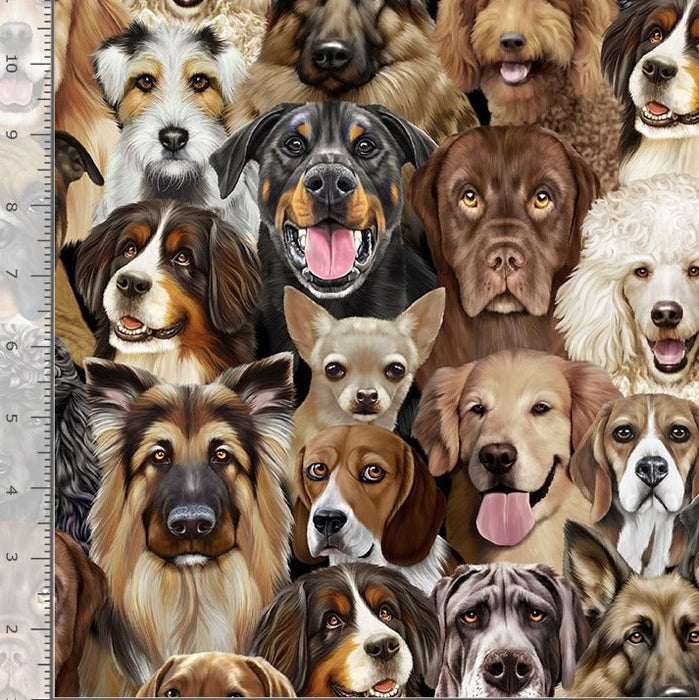 I Love My Dog Digital Print - Packed Dogs