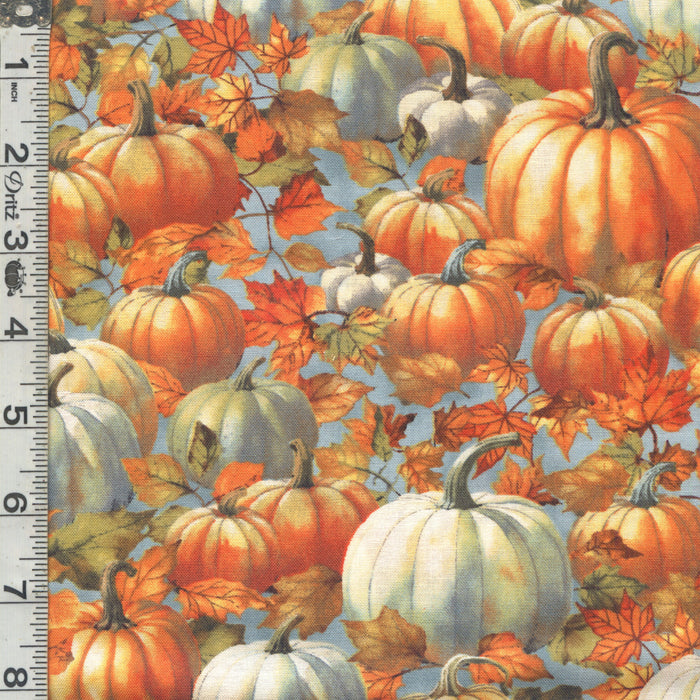 Glorious Fall - Pumpkin Patch Blue