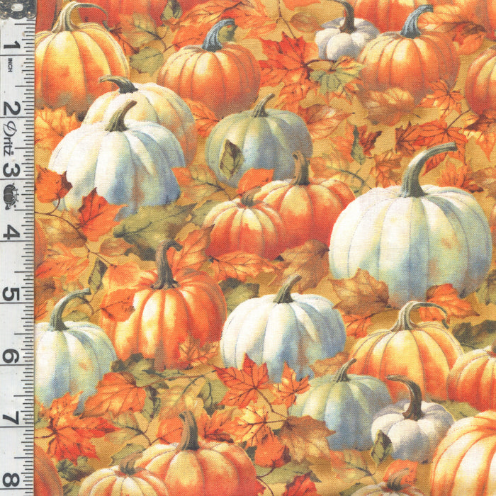 Glorious Fall - Pumpkin Patch Orange