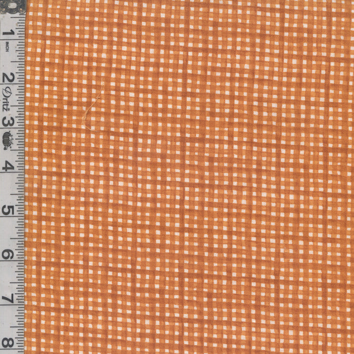 Glorious Fall - Gingham Orange