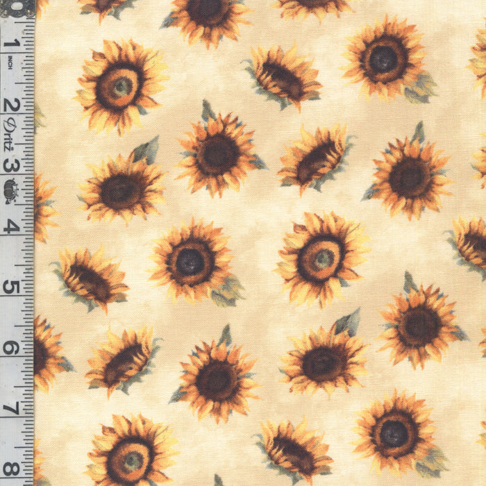 Sunkissed - Sunflowers Cream