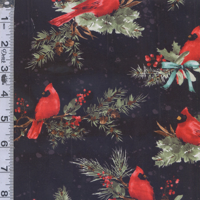 Cardinal Celebration - Cardinals Black