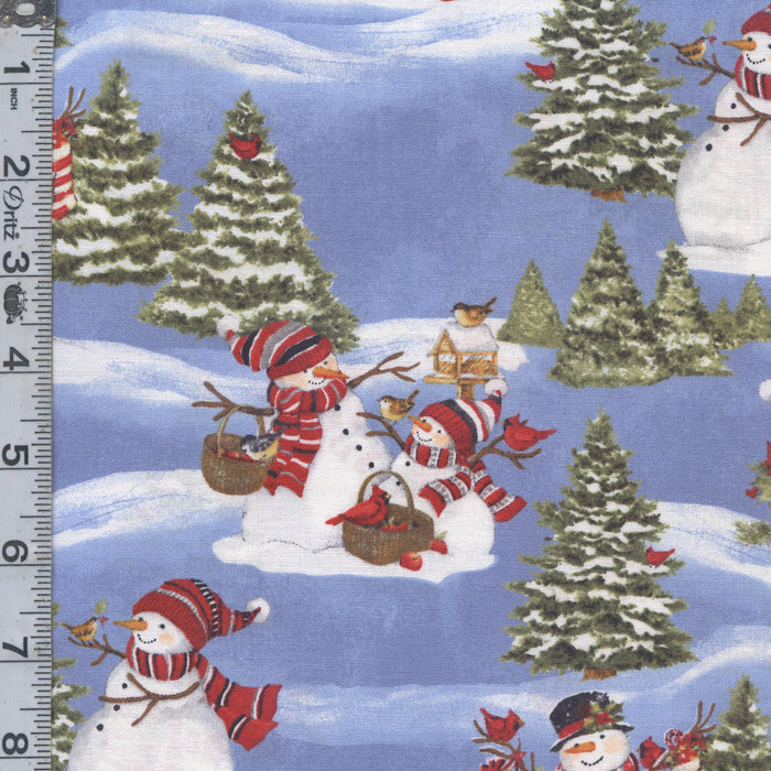 Frosty Frolic - Scenic Blue 6" Remnant