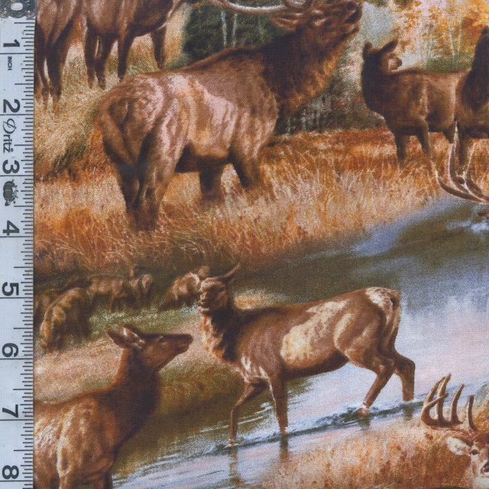 Elk & Deer In Autumn