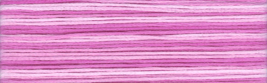 Cosmo Seasons Embroidery Floss - 8060
