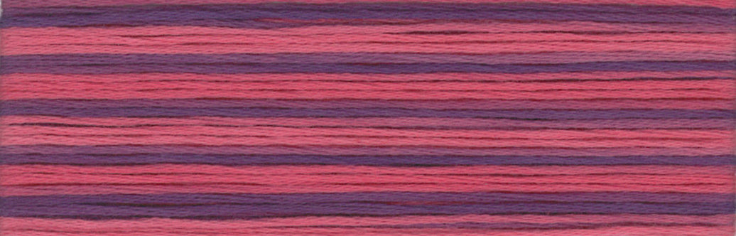 Cosmo Seasons Embroidery Floss - 8062