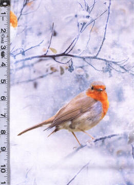 Call Of The Wild Digital Print - Cardinal Ice