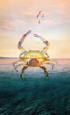 Call Of The Wild Digital Print Panel - Seaside