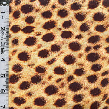 Animal Kingdom Digital Print - Cheetah Print