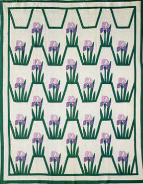 Iris Pattern Pattern
