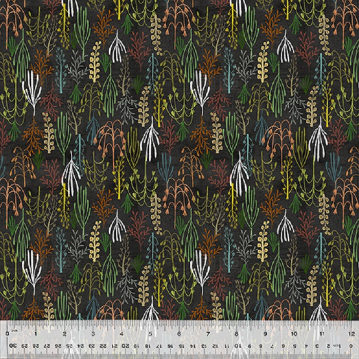 Age of the Dinosaurs - Prehistoric Plants Black