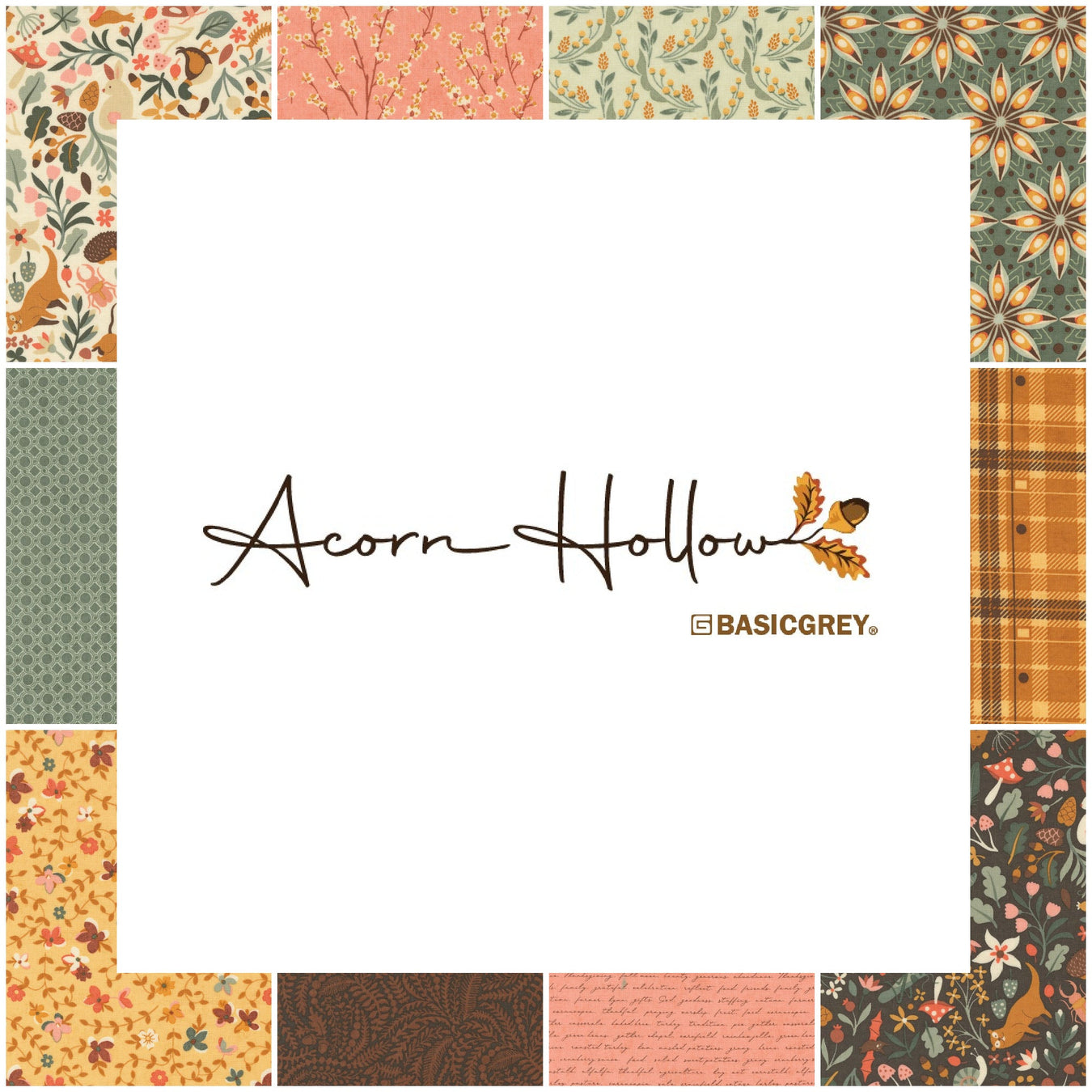 Acorn Hollow