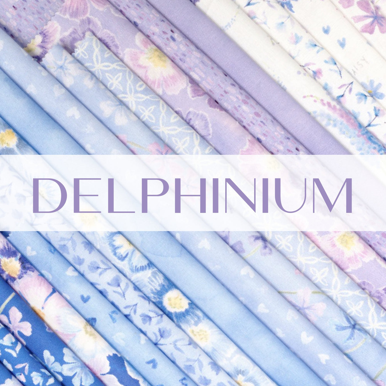 Delphinium