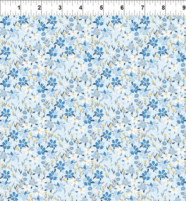 Lovelies - Lucy Blue