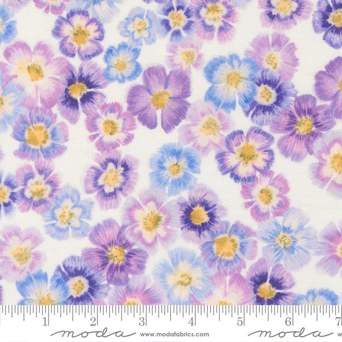 Delphinium - Auricula Snowdrop