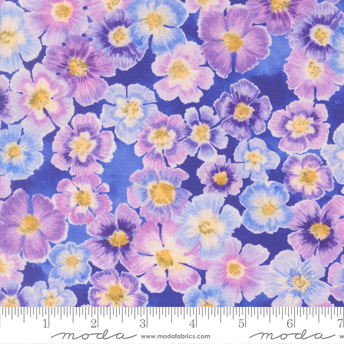 Delphinium - Auricula Agapanthus