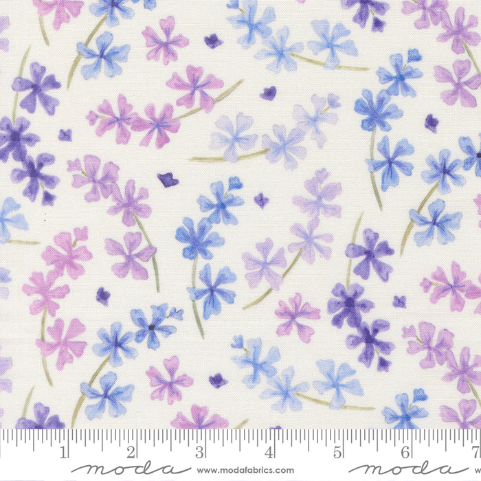 Delphinium - Lilac Snowdrop