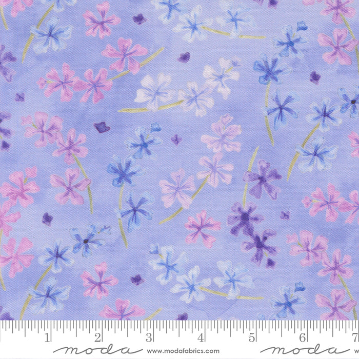 Delphinium - Lilac Bluebell