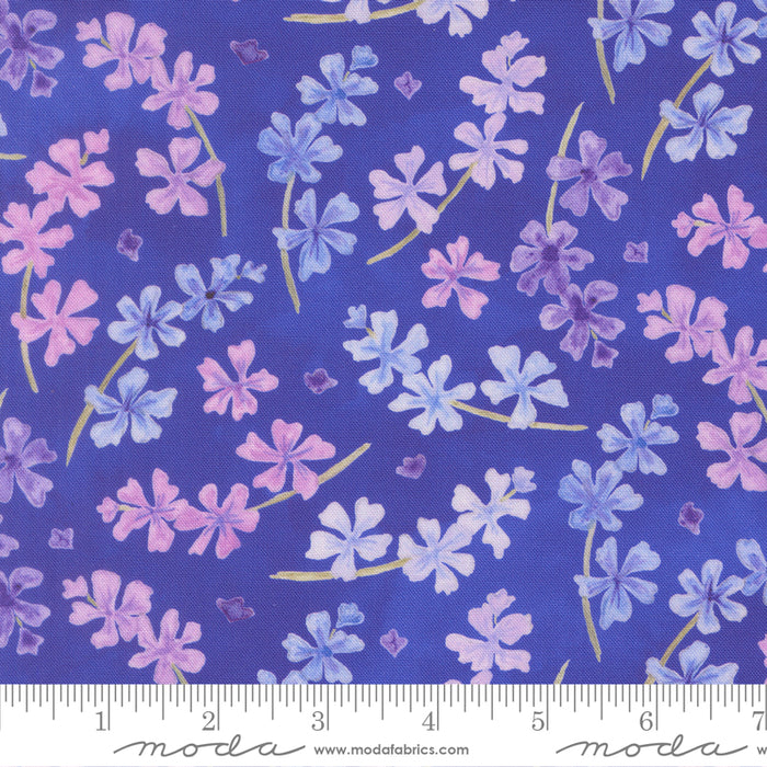 Delphinium - Lilac Agapanthus