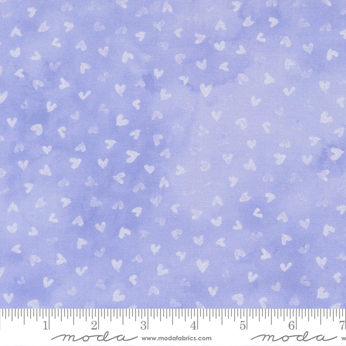 Delphinium - Hearts Lilac